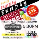 Family Funday Sunday Bingo - Free To Play Bar Bingo