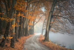 Fall in Wisconsin and Gearing Up for Winter in the Midwest