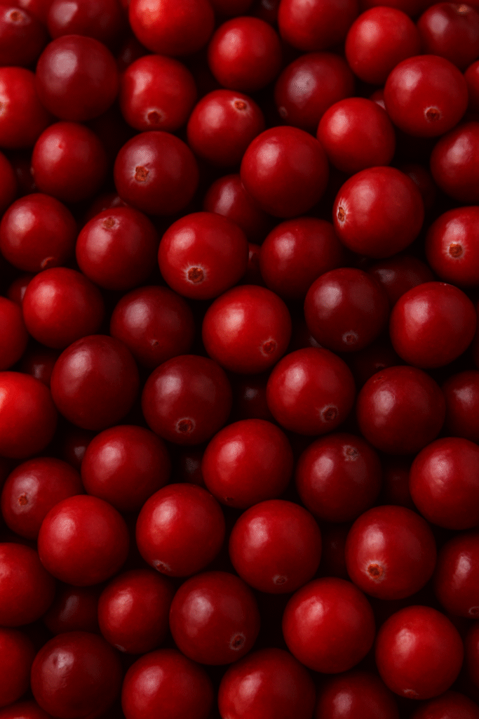 Warrens Cranberry Festival