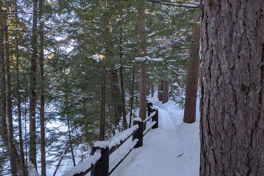 Run For The Trees: Happy Little 5K