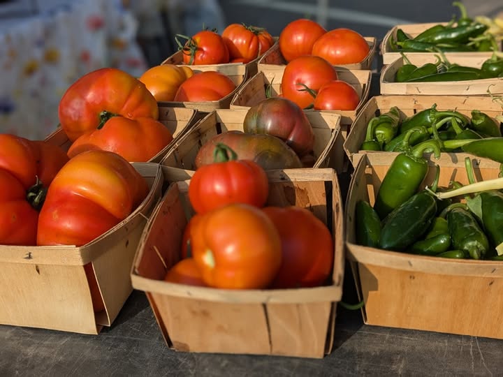 Janesville Spring Farmers Market